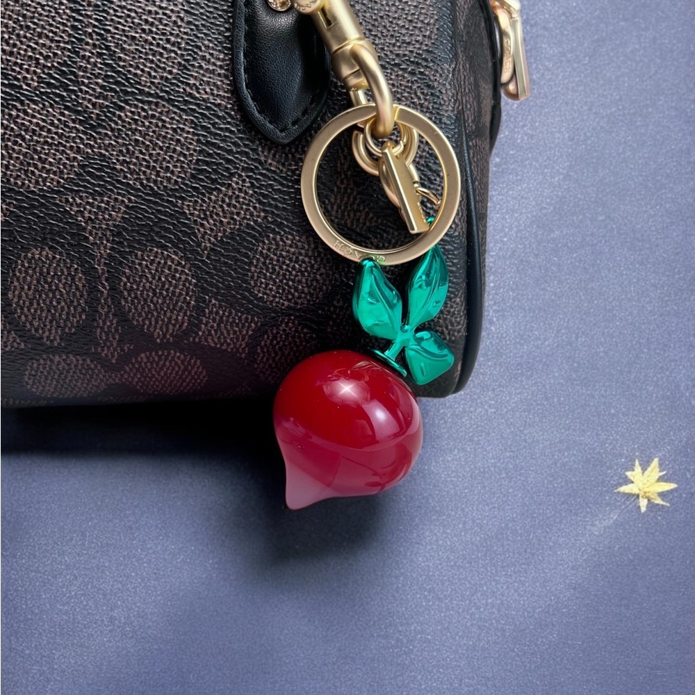 🧀Coach Red and Green Keychain - Picture 4 of 9